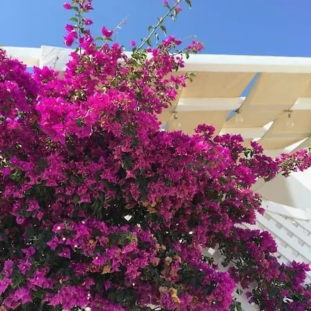 Holiday home Mimosa House *
