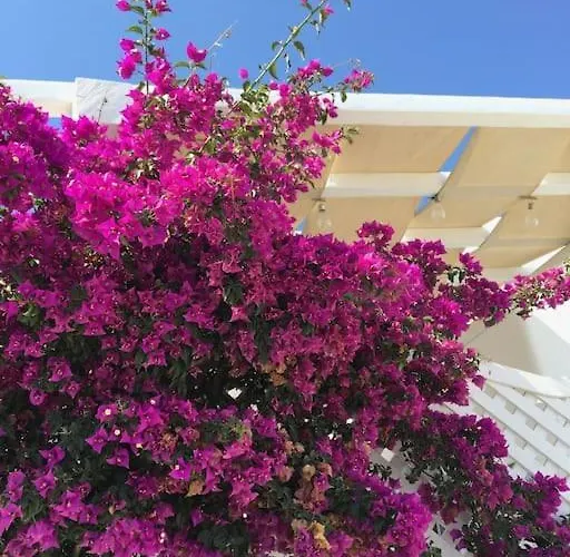 Tatil Evi Elysia House *