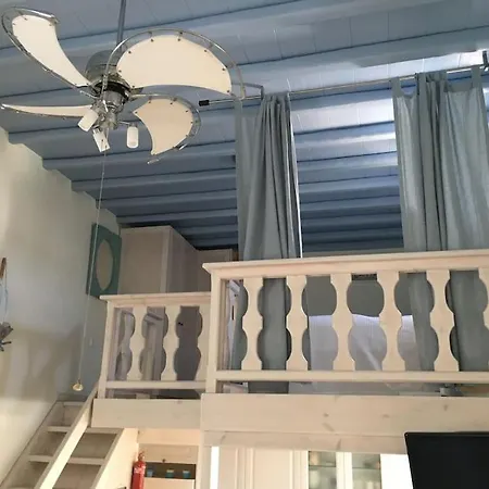 Mimosa House