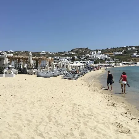 Mimosa House בית נופש